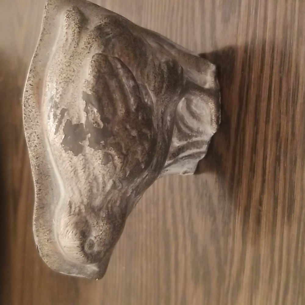 Resin chick looks like mold